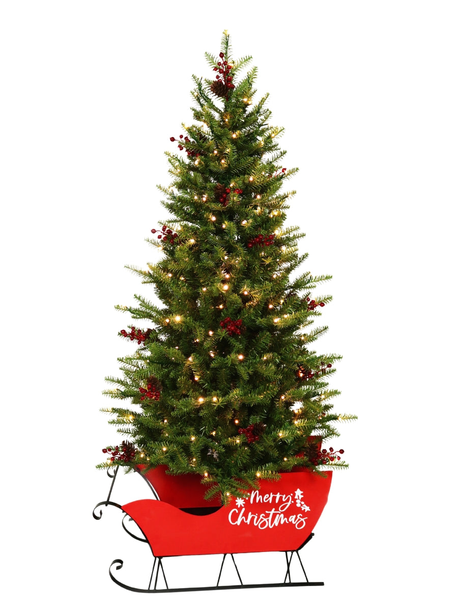 5' Mountain Green Fir in Sleigh